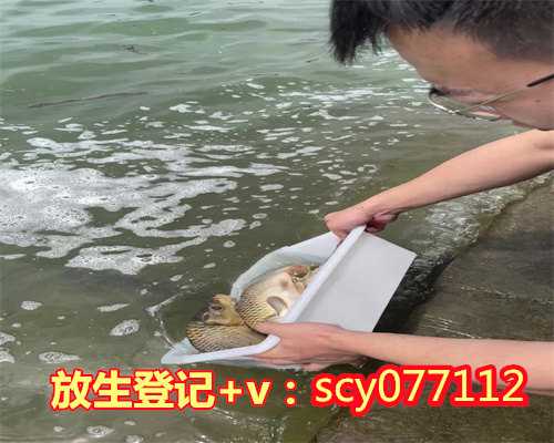 广东放生小红鱼在哪里，广东省东莞市古门联选录